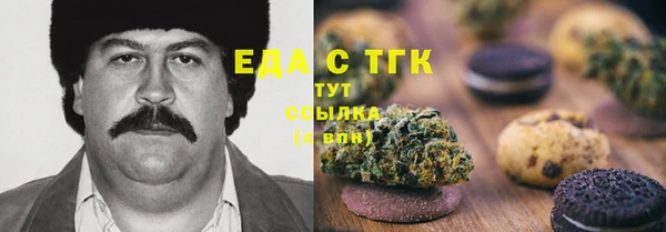 Альфа ПВП Горняк
