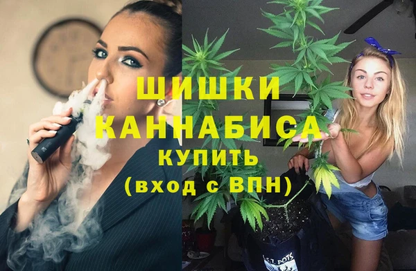 Альфа ПВП Горняк