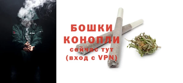 Альфа ПВП Горняк