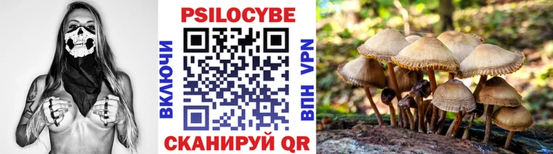 Псилоцибиновые грибы GOLDEN TEACHER  Москва 